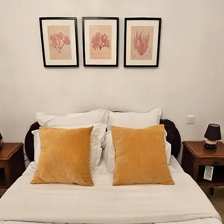 Bel & Ancien T3 Renove Dans Sartène