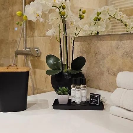 Lejlighed Bel & Ancien T3 Renove Dans *