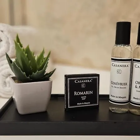 Bel & Ancien T3 Renove Dans Apartman Sartène