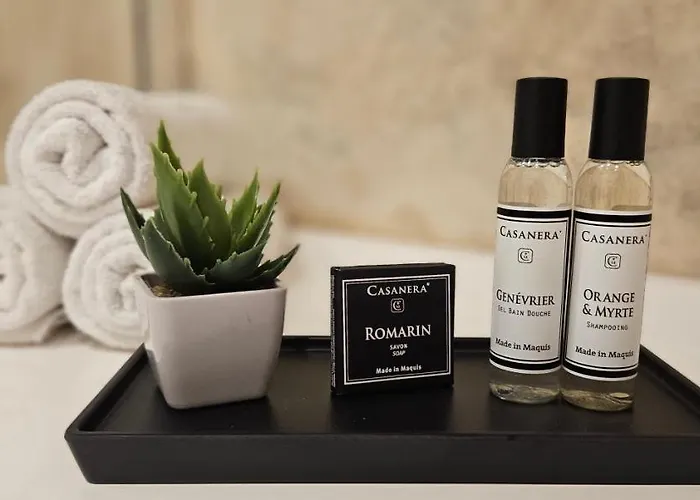 Bel & Ancien T3 Renove Dans Apartament Sartène