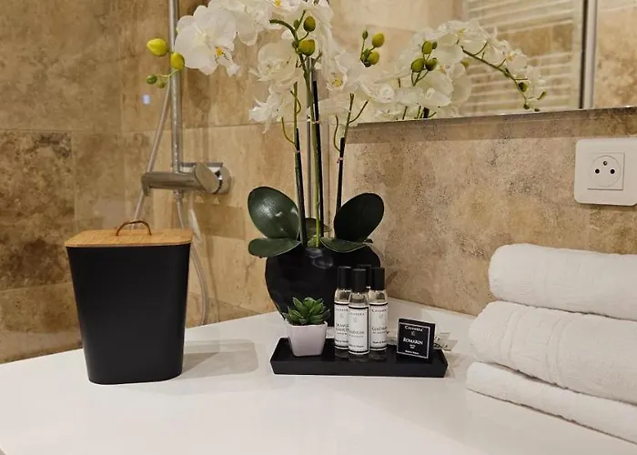 Apartment Bel & Ancien T3 Renove Dans *